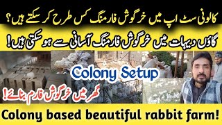 Colony based beautiful rabbit farm!کالونی سٹ اپ میں خرگوش فارمنگ کس طرح کر سکتے ہیں ؟#youtube