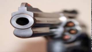 Voice pistol