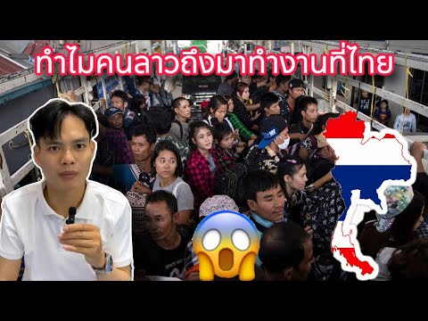 ทำไม คนเราถึงไปทำงานที่ไทยที่ลาวไม่มีงานทำหรอ#ลาวไทย #อย่าปิดการมองเห็น