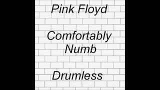 Pink Floyd - Comfortably Numb DRUMLESS Track With Vocal chords