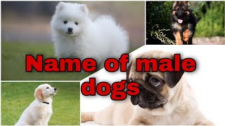 male dog Names video malayalam