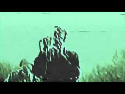 Molchat Doma Volny Молчат Дома Волны Music Video