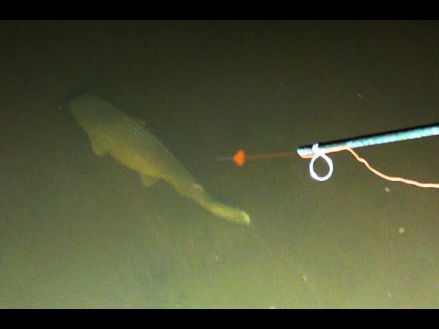 okuma catalina rod Okuma Catalina Boat Rods