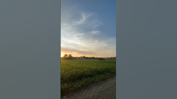 قران كريم بصوت القاري محمد ايوب 🤎
