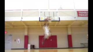 New 10 Foot Dunks, 511 Height