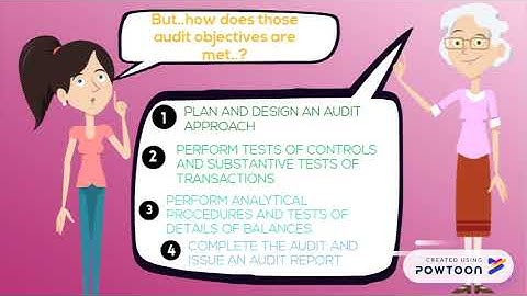 Objective & Scope of financial statement audit!