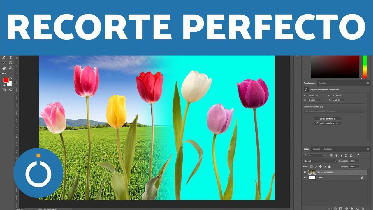 Resumen de 26+ artículos: como quitar el fondo en photoshop