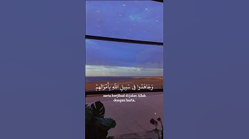 #سورة_التوبة #راحة_نفسية #القرآن_الكريم #تلاوة_خاشعة #explore #اكسبلور #short #مشاري_العفاسي