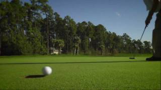 Learn How To Make Everything With AimPoint