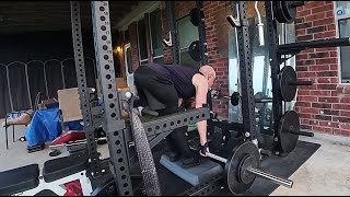 Glutes/Hamstrings/Biceps/Rear Delts Progress 5/29/24