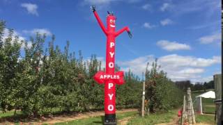 Pyo Apples Parks Farms Chester Nj