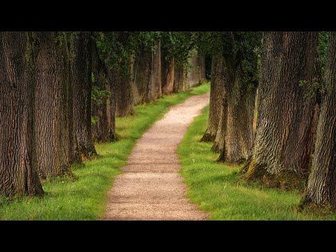Янгиюль  История (Узбекистан)