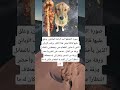 صورة التقطها أحد الباعة الجائلين وعلق عليها قائلا الخ غرائب وعجائب صورة التقطها أحد الباعة الجائلين وعلق عليها قائلا الخ غرائب وعجائب