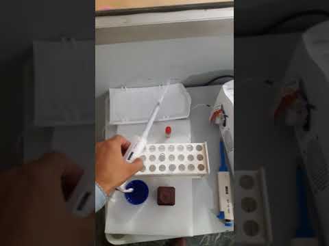 Analytica BCA