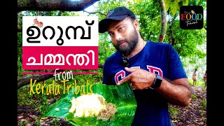 ഉറുമ്പ് ചമ്മന്തി | Urumbu Chammanthi | Ant Chutney | Kerala Tribal Special