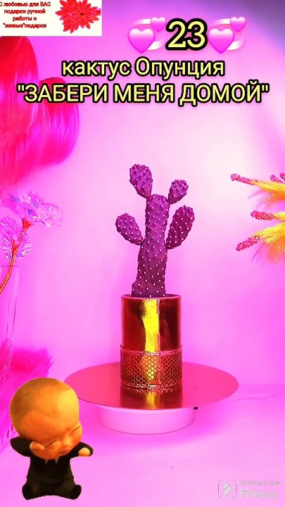 авито:комнатные цветы от Олеси Ставрополь - YouTube