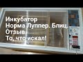 Инкубатор Норма Луппер, Блиц на 72 яйца. Выбор инкубатора.Отзыв.