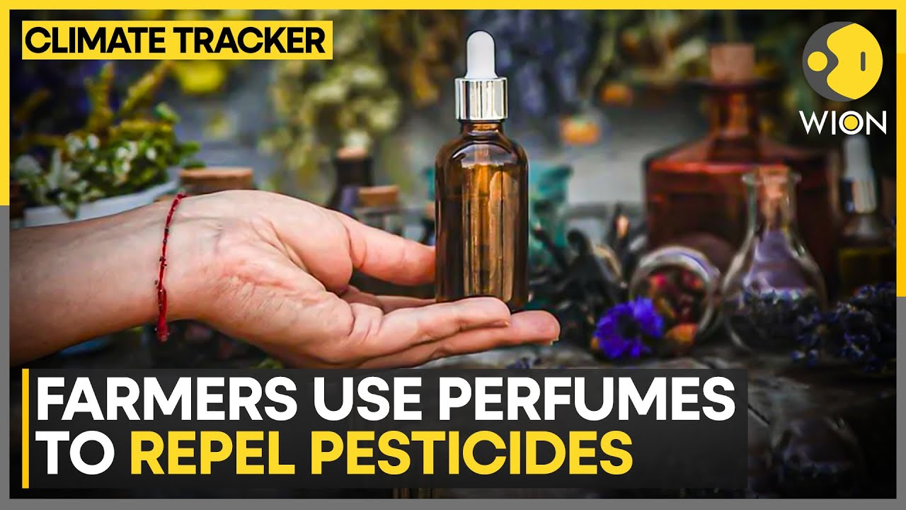 France: Beet Farmers Trade Chemicals For Scents | WION Climate Tracker
