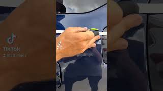 Lime green pinstripes #satisfying #pinstripe #automobile