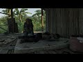 Gray Zone Warfare | La amante