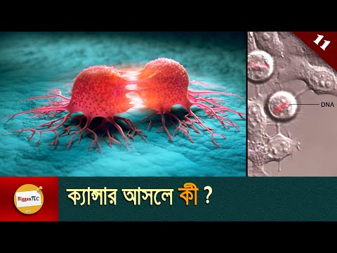 ভিডিও: উচ্চ ক্ষমতার লাইন কি ক্যান্সার সৃষ্টি করে?