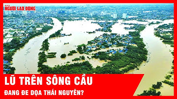 Thái Nguyên trong tình trạng nguy hiểm khi lũ trên sông Cầu đã vượt đỉnh lịch sử hơn 1m? | Tin tức