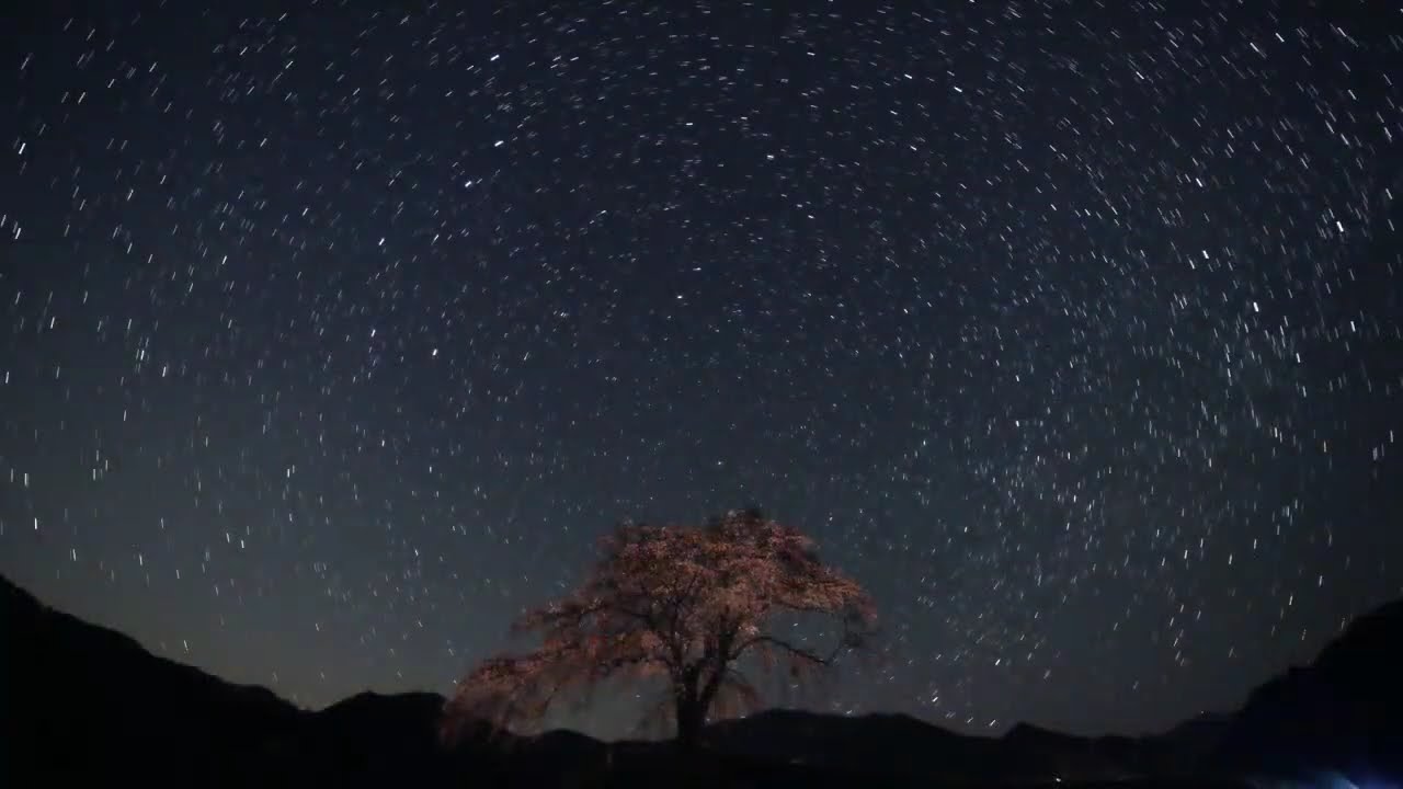 北極星グルグル 日周運動 〜 いろんな周極星TimeLapse - YouTube