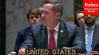 Mike Waltz Speaks At UN Security Council Meeting After US Votes To Extend UN South Sudan Mandate