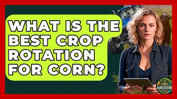 What Is The Best Crop Rotation For Corn? - The World of Agriculture