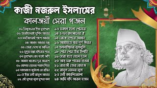 Best Of Kazi Nazrul Islam