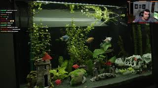 KPMM 3rd place vs Wam01 Bo5 then more tournament games?!