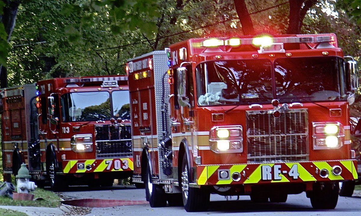 Пожарные машины Спецтехника Изучаем транспорт Мультики про машинки для детей