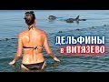 Дельфины в Анапе (Витязево)