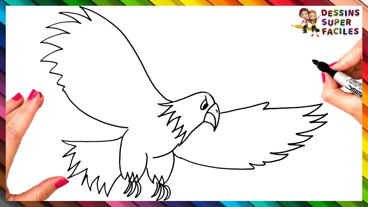 Comment Dessiner un Aigle Étape par Étape 🦅 Dessin d'Aigle Facile - YouTube