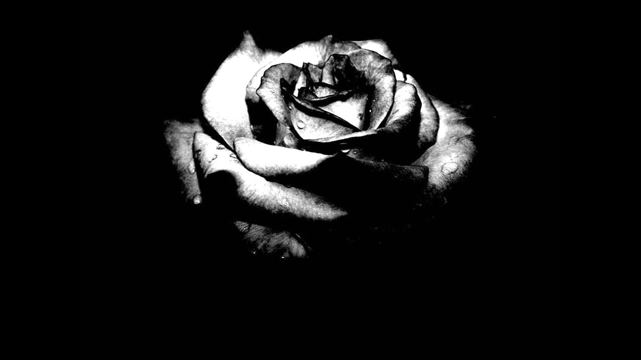 Sturm und Drang Light years apart [LYRICS ON SCREEN] YouTube Music