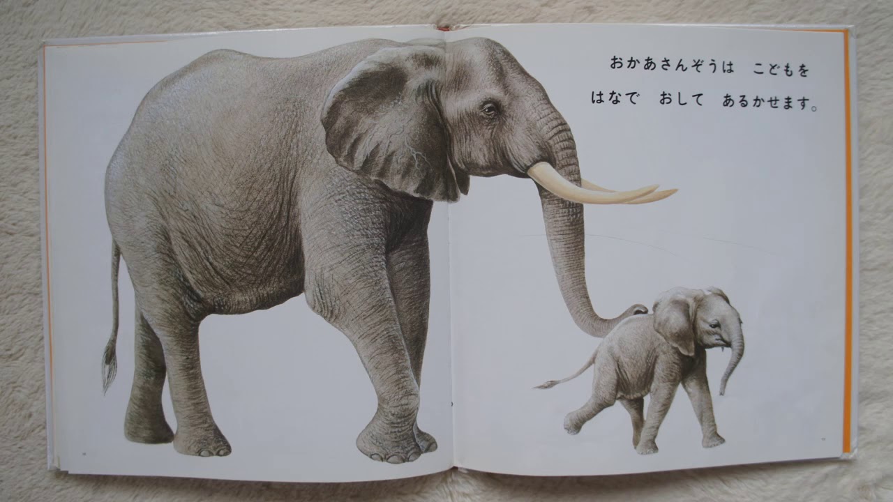 ΆῳύどうぶつのおかあちゃんἒῶἿ Amazon.co.jp: Animal Moms どうぶつのおかあさん (英語でたのしむ