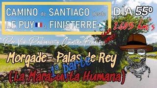 Camino de Santiago Vía P. y C. Francés DIA 55⁰ Casa Morgade - Palas de Rey 35,1 km's (1ª parte)