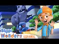 Blippi aprende todo sobre los mapaches 🦝 Blippi Wonders en Español