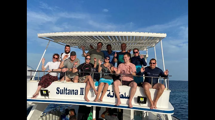 The Shark clubreis 2022