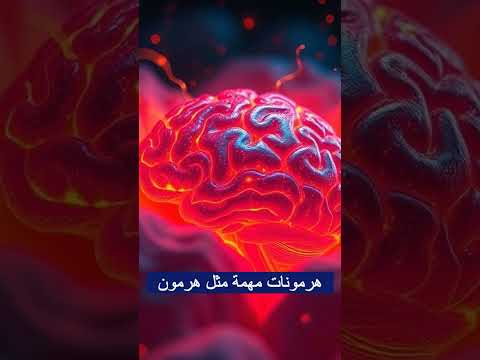 هل تعلم ماذا يحدث لجسمك أثناء النوم