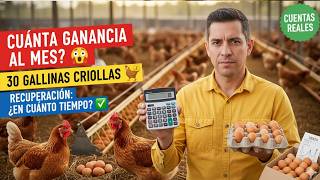 Cuánta ganancia espero obtener de 30 gallinas criollas por mes y cuál es el período de recuperación