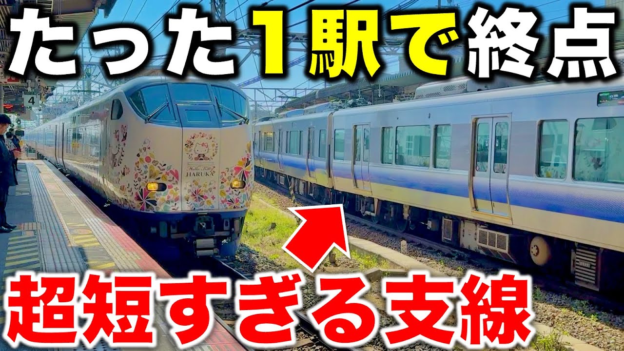 【一体なぜ出来た!?】沿線民以外ほぼ使わない