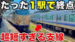 【一体なぜ出来た!?】沿線民以外ほぼ使わない"わずか1.7km"の超短すぎる支線に隠れた衝撃の歴史に迫る 阪和線/羽衣線/JR西日本