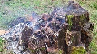 Enhancing my Native Morel Patch screenshot 5