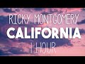 CALIFORNIA - Ricky Montgomery | 1 HOUR | LISTEN WITH HEADPHONES |