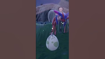 Hatching SHINY Fuecoco in 721 eggs