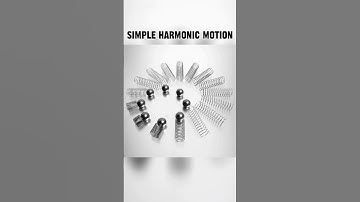 Simple Harmonic Motion #science #physics #facts