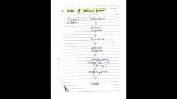 PSTET CDP || Steps of learning process #pedagogy #childdevelopment #cdp #ctet #pstet