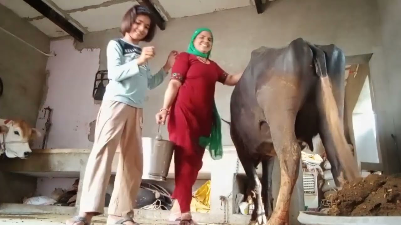 सिर्फ 31 लाख रुपए की मोनालिसा 🤔 Ramesh viral vlogs |  my first viral vlogs | trading vlog 