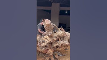 The process of turning a tree root into a coffee table